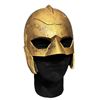 Image 1 : Arrowverse - Ray (Russell Tovey) Gold Helmet