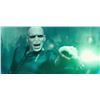 Image 8 : Harry Potter and the Goblet of Fire (2005) - Lord Voldemort (Ralph Fiennes) Hero Wand