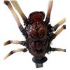 Image 7 : Jumanji (1995) - Animatronic Spider