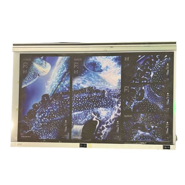 Pacific Rim (2013) - Kaiju Light Board