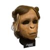 Image 3 : Planet of the Apes (2001) - Chimp Mask
