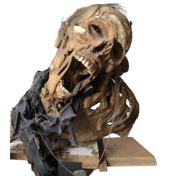 Starship Troopers 2: Hero of the Federation (2004) - Screen Matched Skeleton