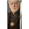 Image 4 : Star Wars - The Mandalorian (2019-) - The Client (Werner Herzog) Imperial Necklace