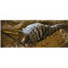 Image 3 : Star Trek II: The Wrath of Khan (1982) - Prop Ceti Eel