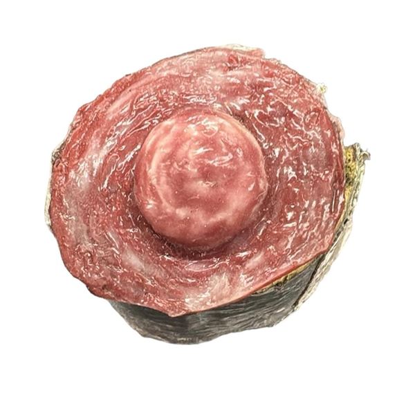 Seed of Chucky (2004) - Chucky's Bloody Stub