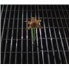 Image 4 : Men in Black II (2002) - Jeff's Flower With Display