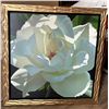 Image 1 : Rose in the Shadows by Brian Davis