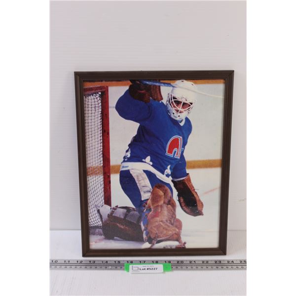 Dan Cloutier Hockey Picture in Frame - 15" x 12"