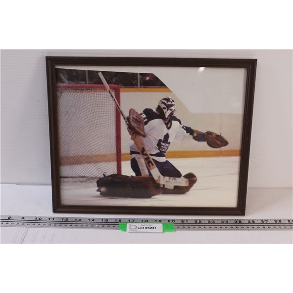 Jiri Crha Hockey Picture in Frame - 15" x 12"