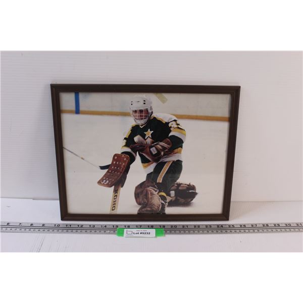 Don Beaupre Hockey Picture in Frame - 15" x 12"