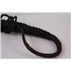 Image 3 : Bull Whip