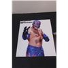 Image 2 : WWE Wrestling Pictures - Ray Mysterio, Undertaker, & Eve (8" x10")