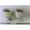Image 1 : (2) Resin Plant Pots