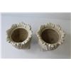 Image 2 : (2) Resin Plant Pots