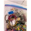 Image 3 : Large Freezer Baggie of Various Jewellery