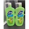Image 1 : Dial Kids 2in1 Body & Hair Wash (2 x 709ml) Melon