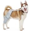 Image 1 : Merrymilo Dog Knee-Brace- Relieces Dogs suffering from limping and joint pain. (S)