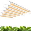 Image 1 : Monios-L Grow Lights for Indoor Plants Full Spectrum, 144W(6×24W, 900W Equivalent), T8 LED Grow Ligh