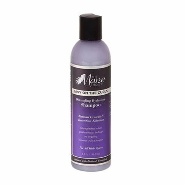BRAND NEW 237ML THE MANE CHOICE SHAMPOO