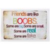 Image 1 : NEW FUNNY FRIENDS ARE LIKE BOOBS 8" X 12" METAL