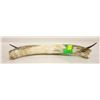 Image 1 : PAIR OF BULL HORNS (DAMAGED SHED ENDS)