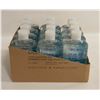 Image 1 : CASE OF 12 BOTTLES 70% ALCOHOL HAND SANITIZER GEL