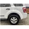 Image 25 : A5 -- 2009 FORD ESCAPE WHITE 287644 KMS