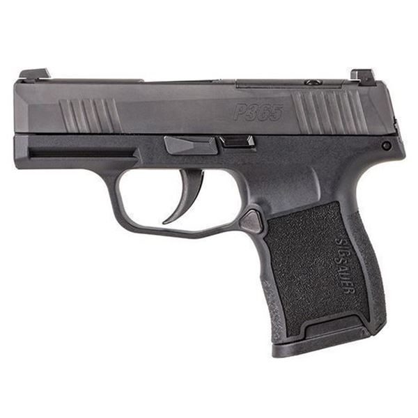 SIG P365 380ACP 3.1" (2) 10RD BLK