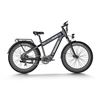 Image 1 : Himiway D5 Rhino Dual Battery Fat Tire E-Bike