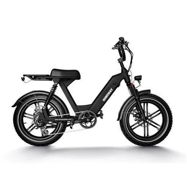 Himiway Escape Pro Long Range Electric Bike