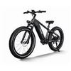 Image 1 : Himiway D5 Zebra Electric Bike