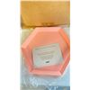 Image 2 : BOX OF 24 HAY PEACH KALEIDO S DESIGN TRAYS