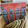 Image 2 : 4 SALA 10 INCH CARABINERS, AND SET OF NEW LOAD STRAPS