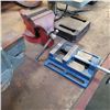 Image 1 : ONE RED VISE AND BLUE VISE