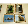Image 3 : Lot of 19 photograph of AK wildlife mounted on wood (229)