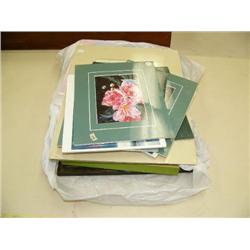 Lot of 4 framed pictures and 10 shrink-wrapped pictures (229)