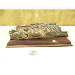 9" relief carved mammoth ivory with group of 4 walruses - imported #020 (2)