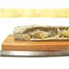 Image 2 : 7" mammoth ivory carving of 4 salmon - imported #063 (2)