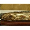 Image 2 : Imported relief carved mammoth ivory 10" long, group of 5 swimming salmon #061 - damaged (2)