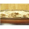 Image 3 : Imported relief carved mammoth ivory 10" long, group of 5 swimming salmon #061 - damaged (2)
