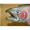Image 4 : Phenomenal 20" hand carved wood rainbow trout by World Championship carver Michael Scott (2)