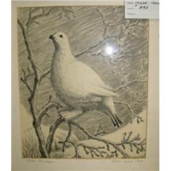 Original pencil, charcoal by Norman Lowell, of willow ptarmigan - image size 12"x10" (229)