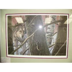 Double matted and framed, signed and numbered print by Rod Lawrence of wolf in woods, frame size 23"
