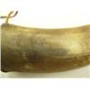Image 2 : Very old 8" powder horn (2)