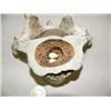 Image 2 : Whale bone and ivory Canadian goose sitting on bone nest with 2 eggs by Aningayou (2)
