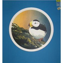 Byron Birdsall Puffin print, matted (229)