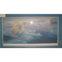 Double matted and framed, signed and numbered print by Cathleen Butts " Polar bear on ice" (229)