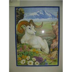 Double matted and framed print of Denali Ram by Diane Drashner 21"x17" (229)