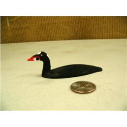 CHOICE on Al Mayac birds 3.75" long: surf scoter (2)
