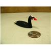 Image 2 : CHOICE on Al Mayac birds 3.75" long: surf scoter (2)